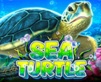 Sea Turtle